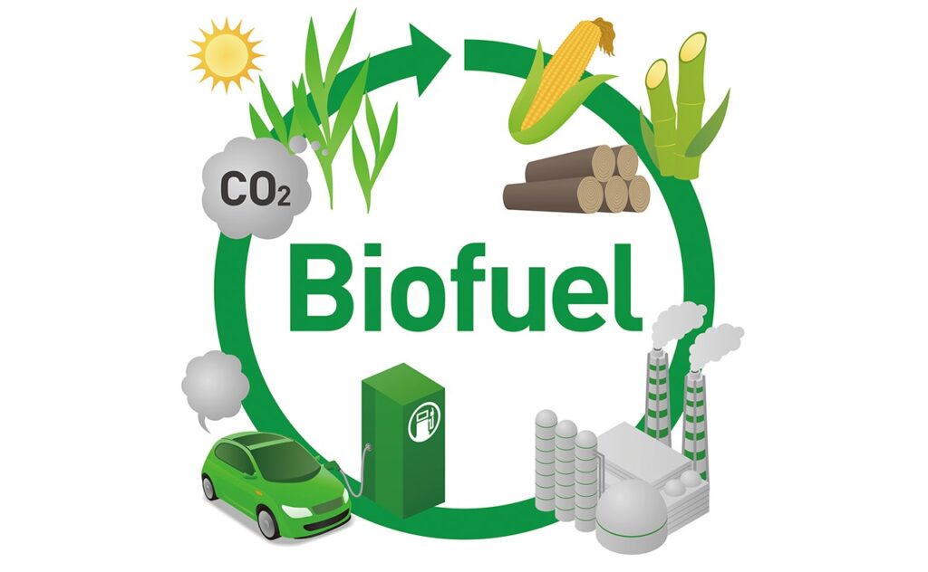 Biomass and Biofuels