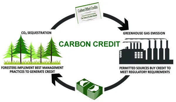 Green Energy Transition