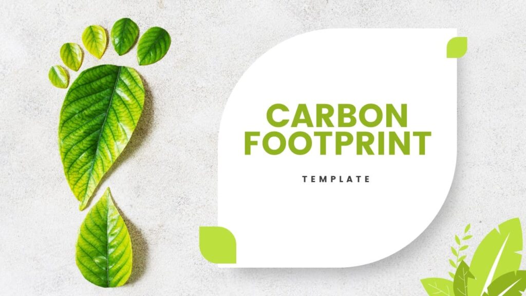 Carbon Footprints