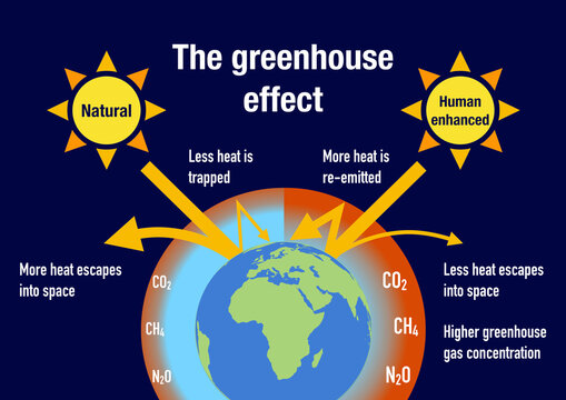 Carbon Footprints