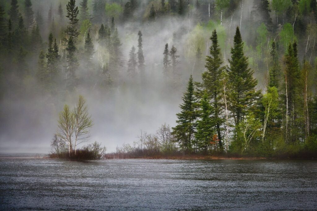 Biodiversity in Ecosystems