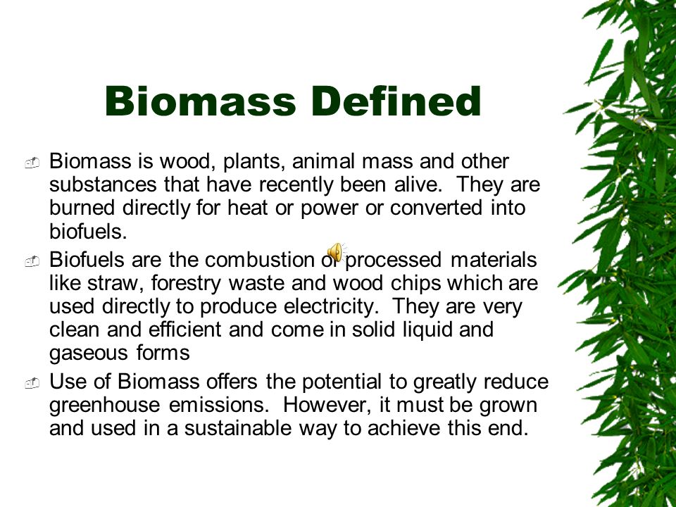 Biomass and Biofuels