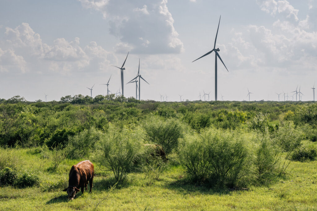 Texas Green Revolution